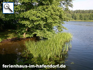 Ziegeleipark